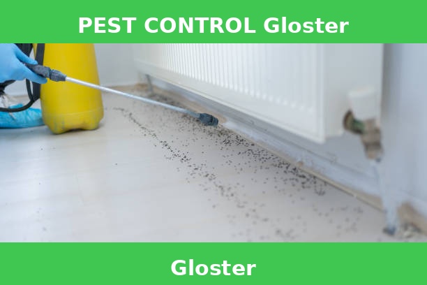 PEST CONTROL Gloster
